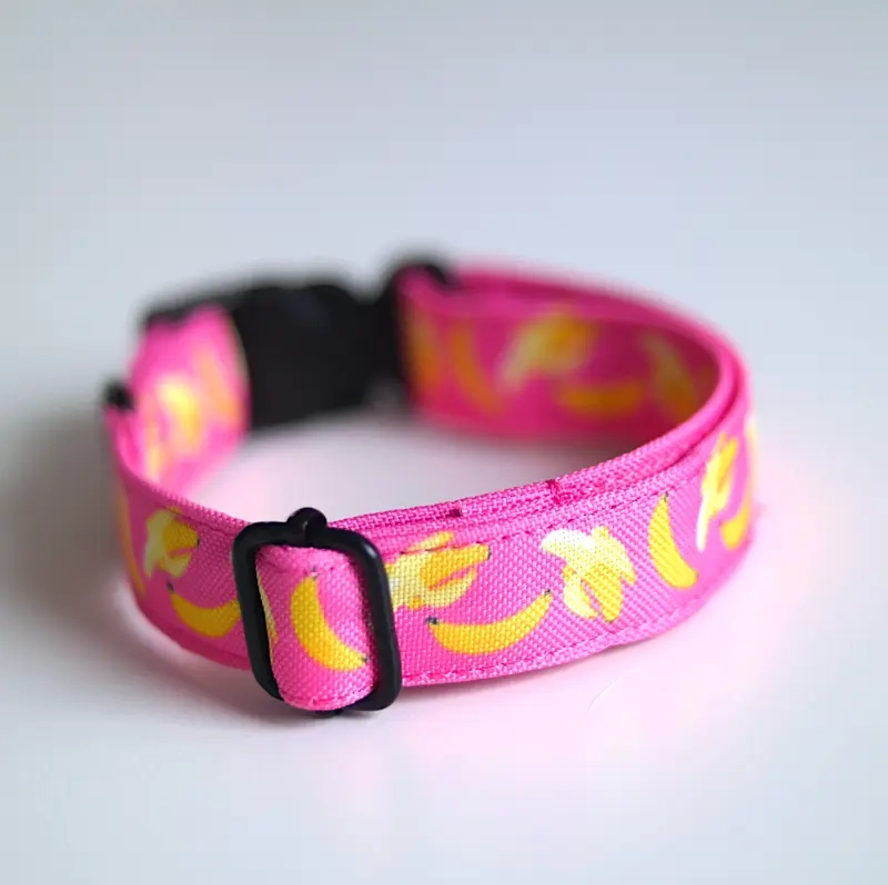 SAM_3023 Duży.webp