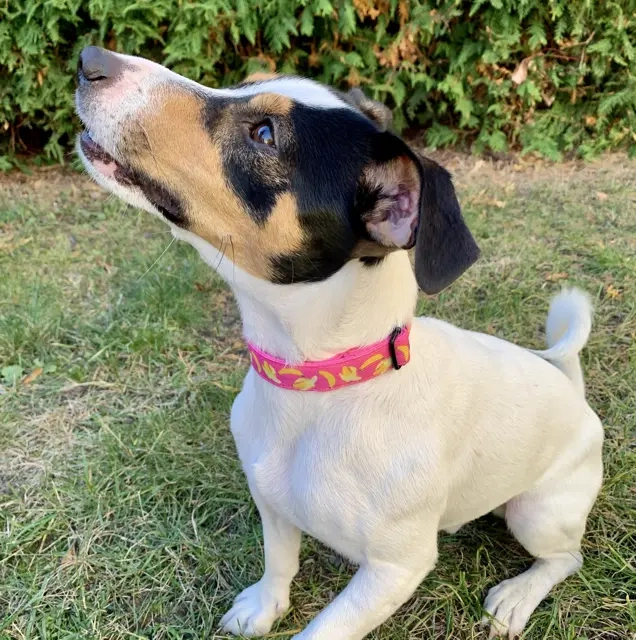 IMG_4802 Średni.webp