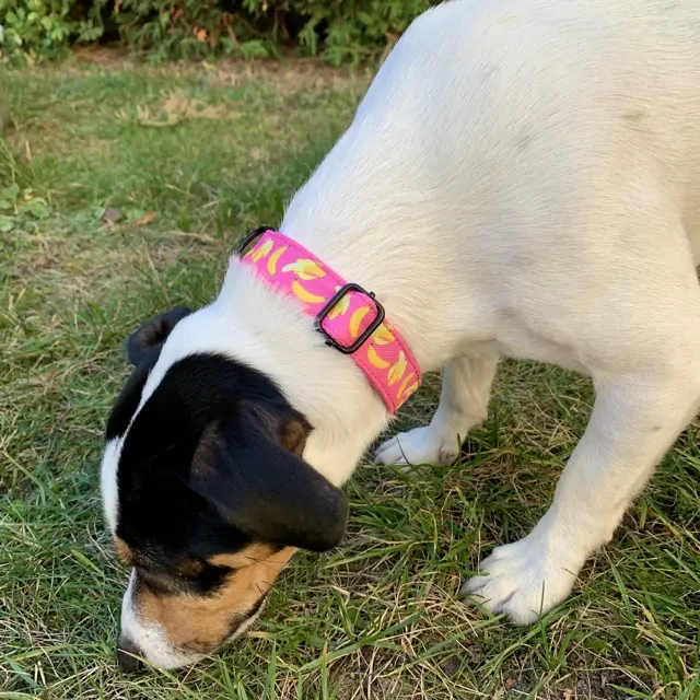 IMG_4798 Średni.webp