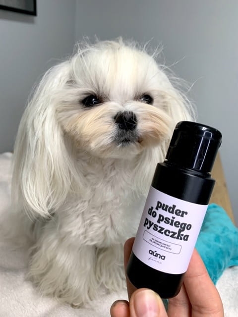 puder_na_zacieki_AUNA_maltanczyk.jpeg
