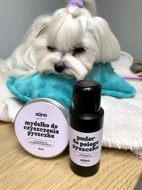 IMG_4234 2 Średni.webp