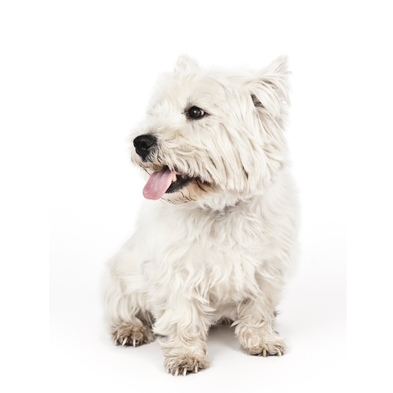 auna_vegan_kosmetyki_wegańskie (6).png